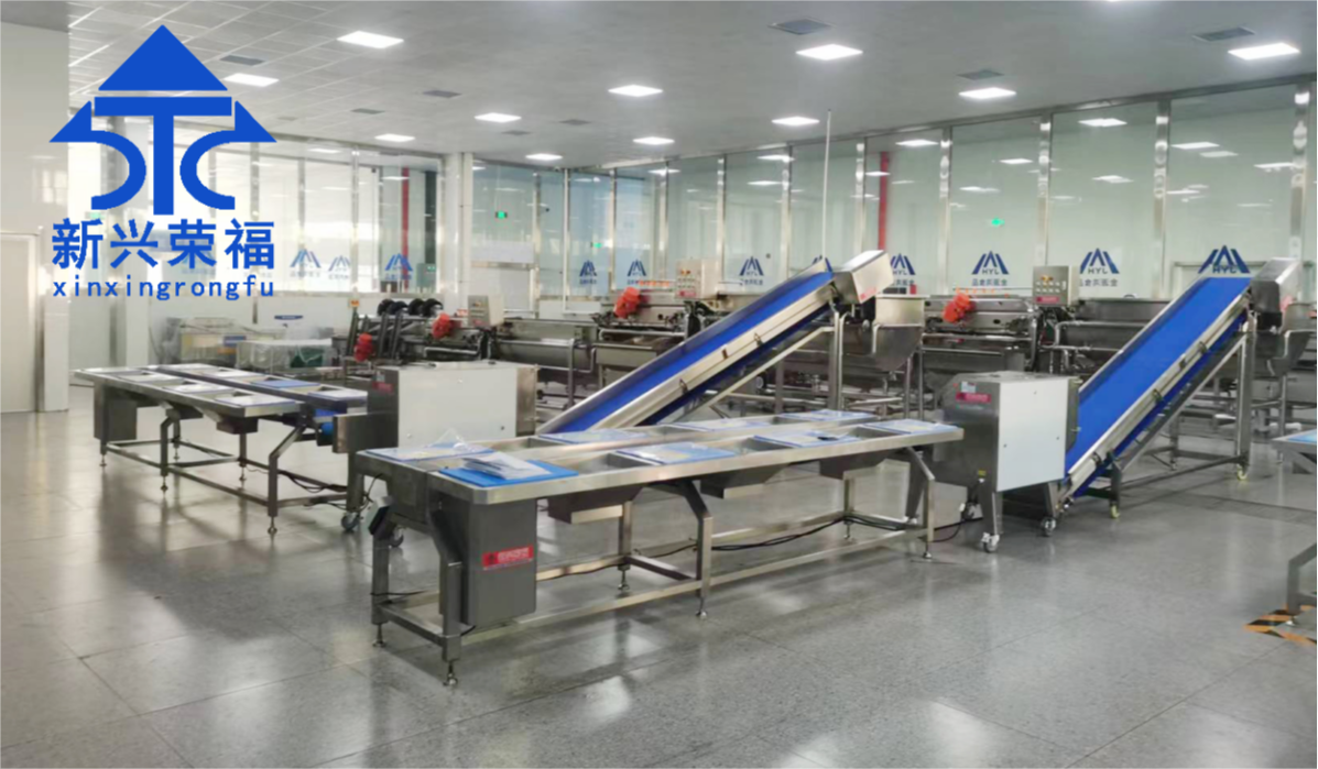 日供蔬菜20噸，新興榮福承建凈菜加工項(xiàng)目完成驗(yàn)收